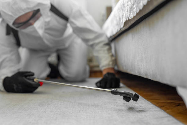 Professional Bed Bug Control technician working in New Brunswick, NJ