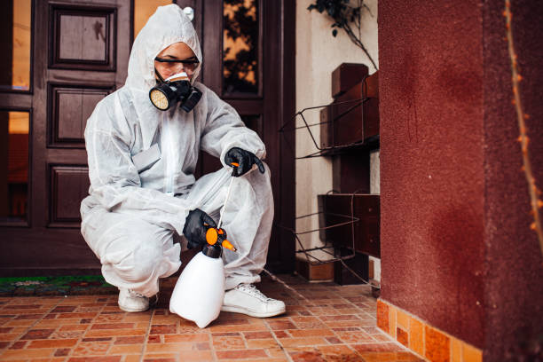 Reliable Bed Bug Control contractor in New Brunswick, NJ by Nex Pest Control