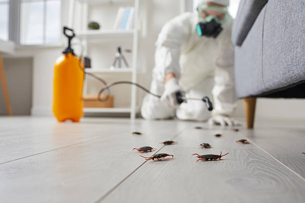 Trusted Emergency Pest Control service in New Brunswick, NJ - Nex Pest Control