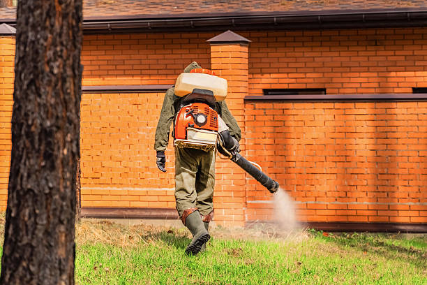 Trusted Bed Bug Control service in New Brunswick, NJ - Nex Pest Control